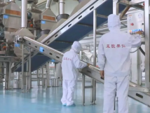 2025年的第一個(gè)月，承德亞歐果仁有限公司在山杏產(chǎn)業(yè)的道路上持續(xù)奮進(jìn)，展現(xiàn)出蓬勃的發(fā)展活力。